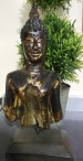 mezzo busto Buddha